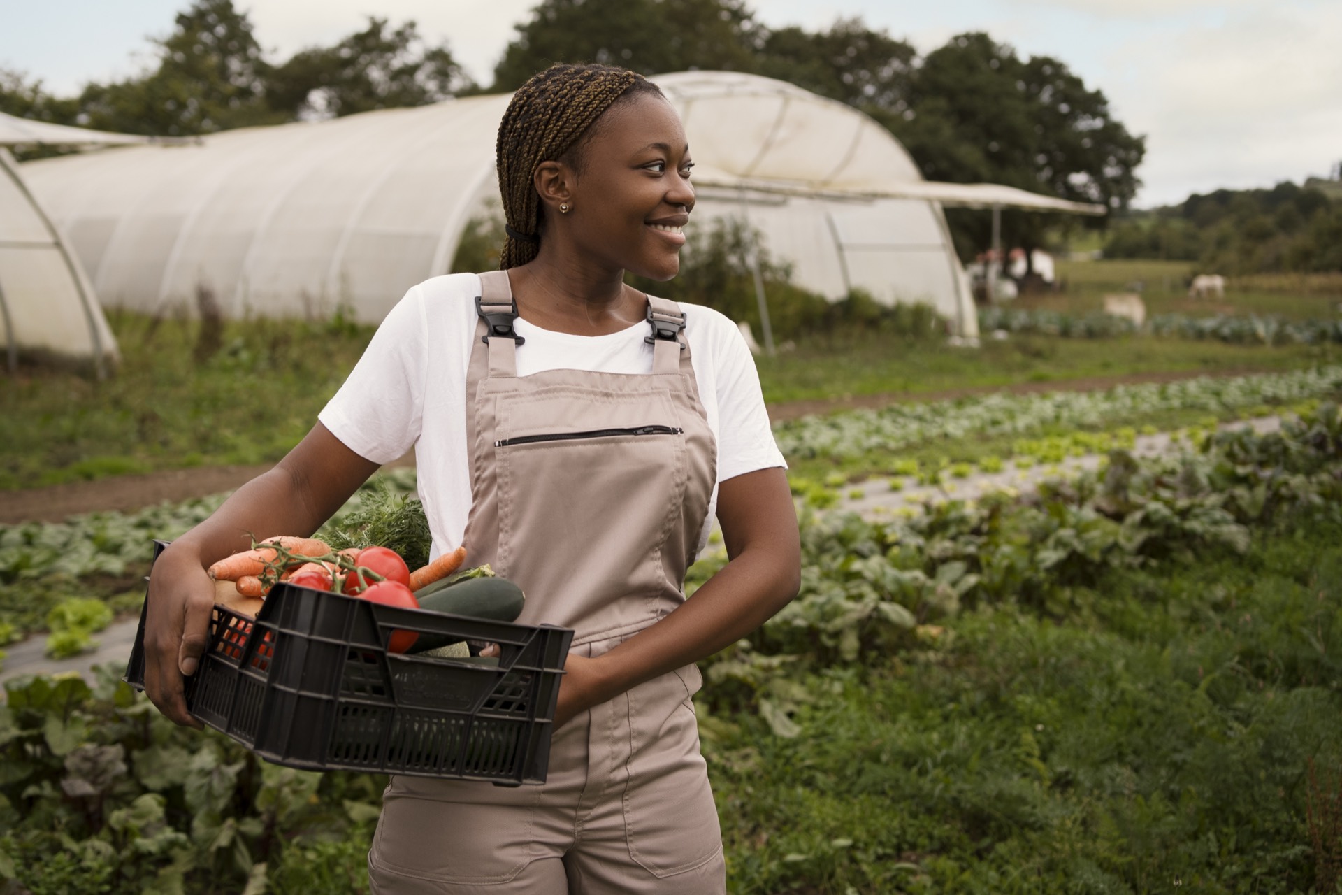 Agrobusiness & Finance